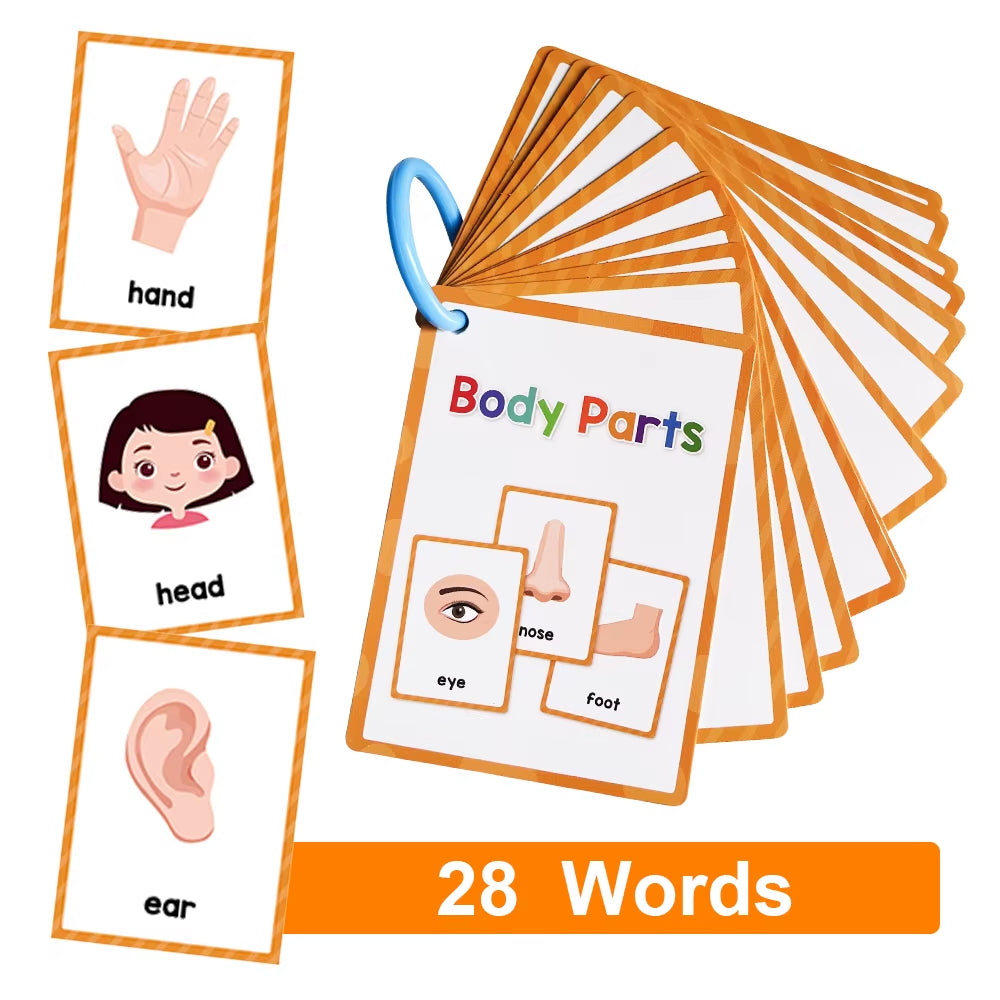 Montessori English Words Learning Flashcards for Kids – Early Educational Classroom & Teaching Aids for Kindergarten